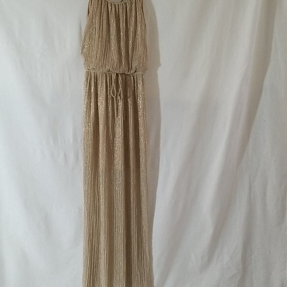 Shimmery Sweet Storm Gold Dress